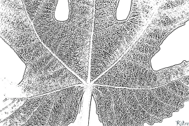 анҷир Саҳифаҳои Рангкунии Чопшаванда